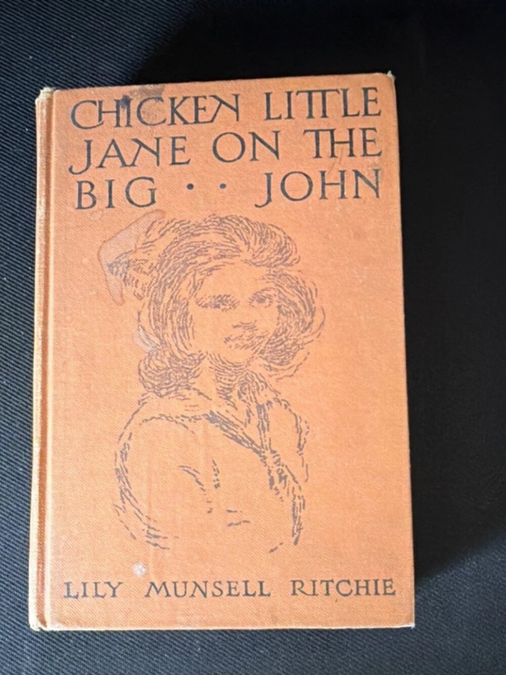 Item #228 Chicken Little Jane 1918 Britton HC Illus Blue Cloth